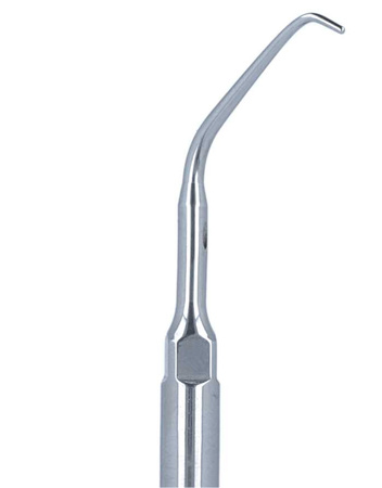 Ultrasonic scaler tip for ENDO Woodpecker E11 (EMS)