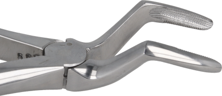 Berten type extraction forceps PLUS - 51 upper roots