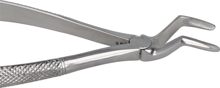 Berten type extraction forceps PLUS - 51 upper roots